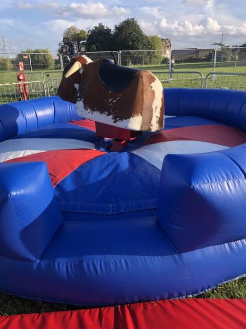 Detailed Analysis On The Best Rodeo Bull Hire